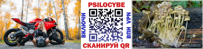 где продают   Шарья  Галлюциногенные грибы мицелий 